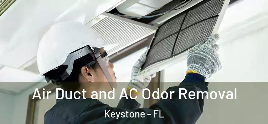 Air Duct and AC Odor Removal Keystone - FL