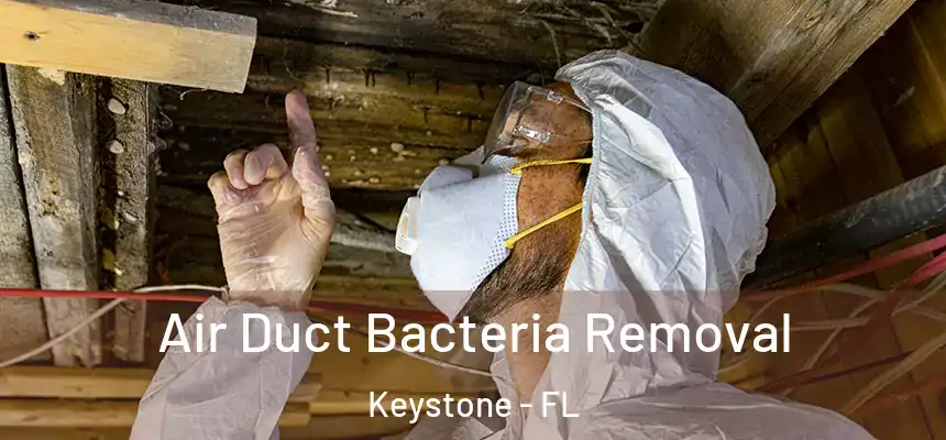 Air Duct Bacteria Removal Keystone - FL
