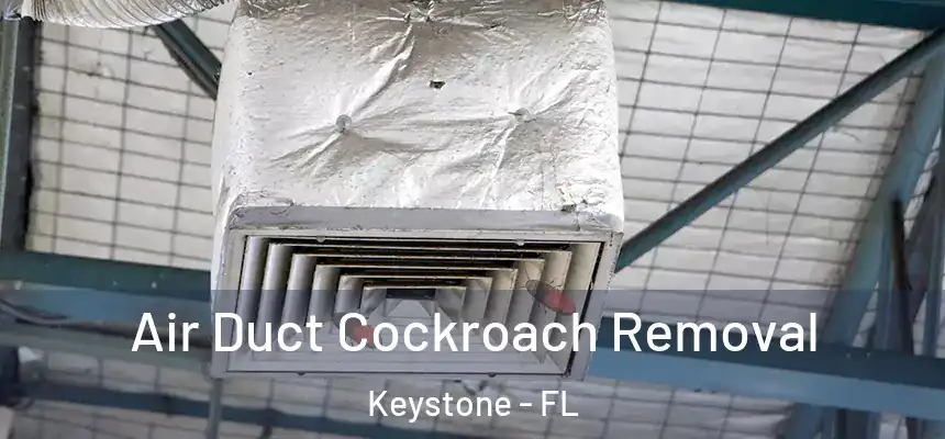 Air Duct Cockroach Removal Keystone - FL