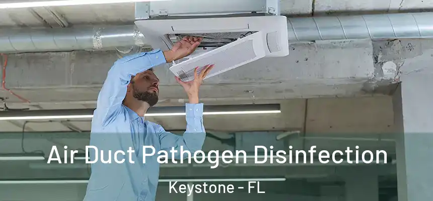 Air Duct Pathogen Disinfection Keystone - FL