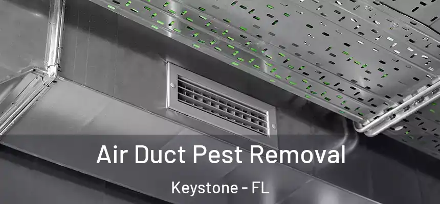 Air Duct Pest Removal Keystone - FL