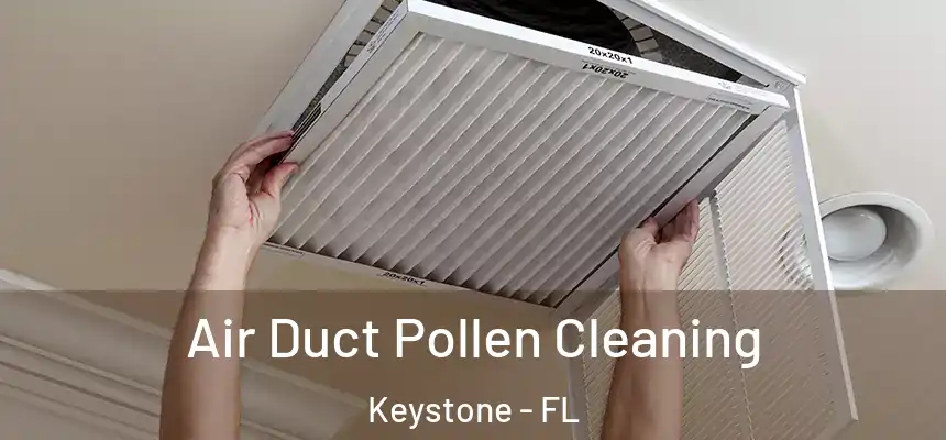 Air Duct Pollen Cleaning Keystone - FL
