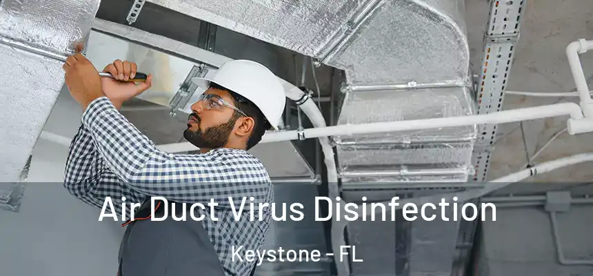 Air Duct Virus Disinfection Keystone - FL
