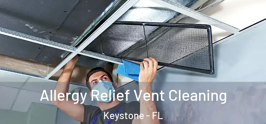 Allergy Relief Vent Cleaning Keystone - FL