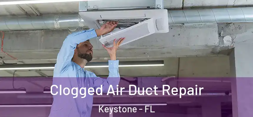 Clogged Air Duct Repair Keystone - FL