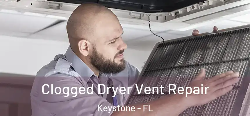 Clogged Dryer Vent Repair Keystone - FL
