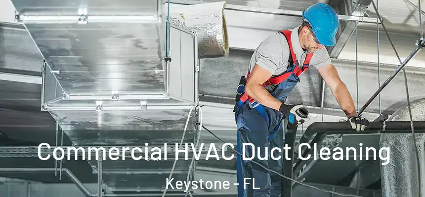 Commercial HVAC Duct Cleaning Keystone - FL