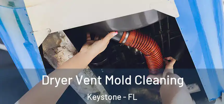 Dryer Vent Mold Cleaning Keystone - FL