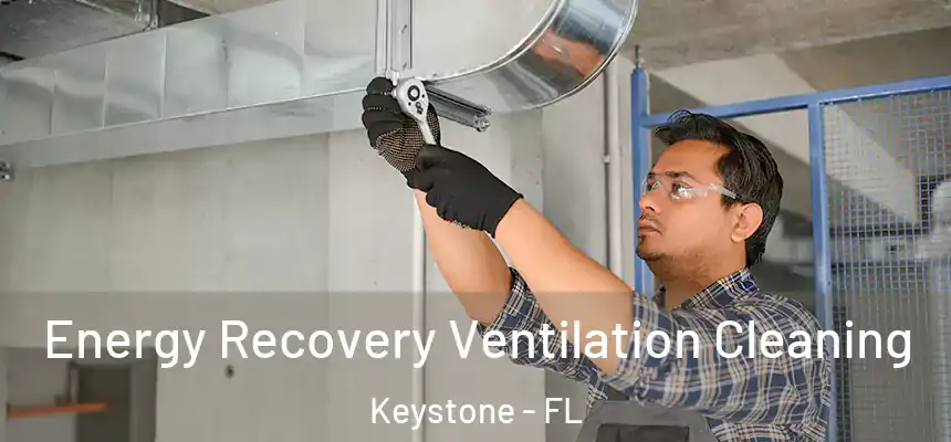Energy Recovery Ventilation Cleaning Keystone - FL