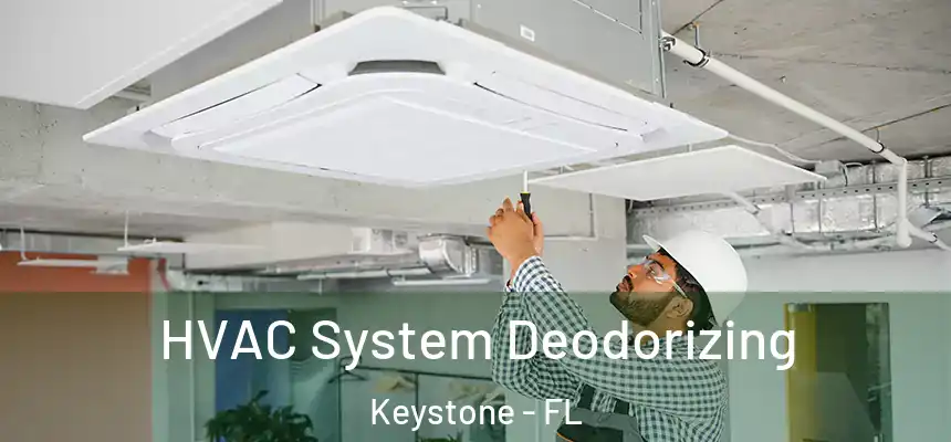 HVAC System Deodorizing Keystone - FL