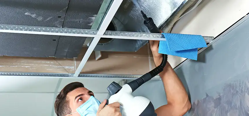 Our Air Duct Rodent Removal Services in Keystone, FL