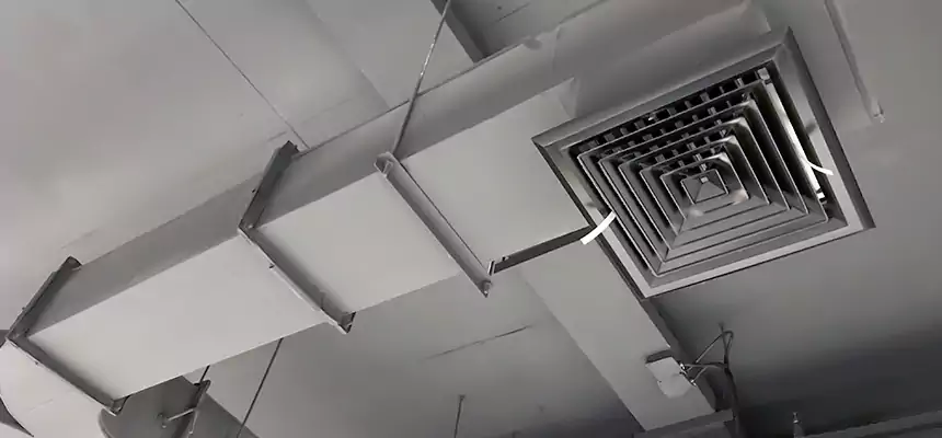 Restorative Allergy Relief Vent Cleaning – Coil, Blower & Housing Detail in Keystone