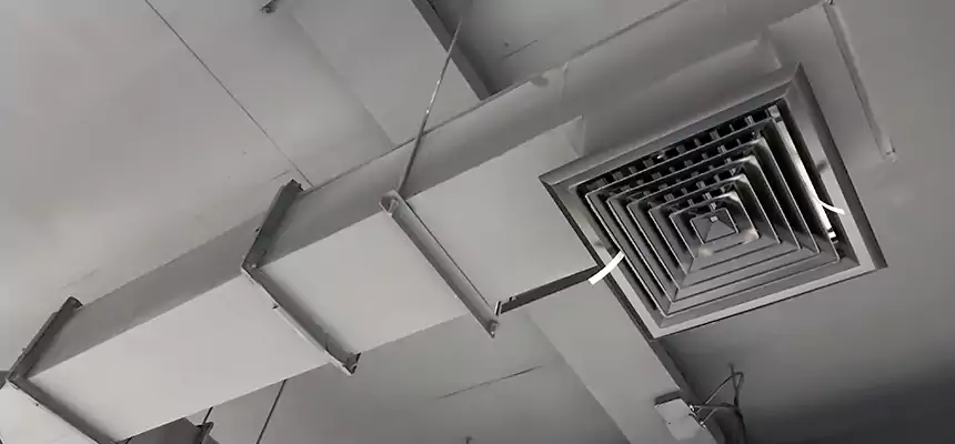 Our Rodent Droppings In Vents Services in Keystone, FL