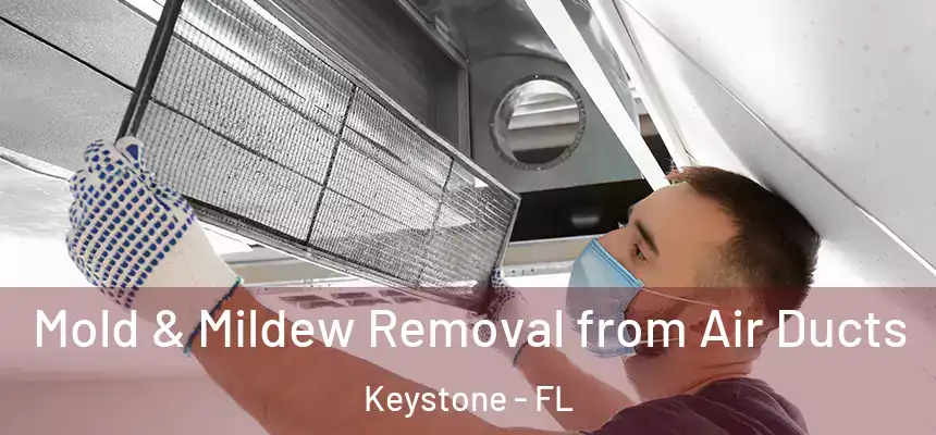 Mold & Mildew Removal from Air Ducts Keystone - FL