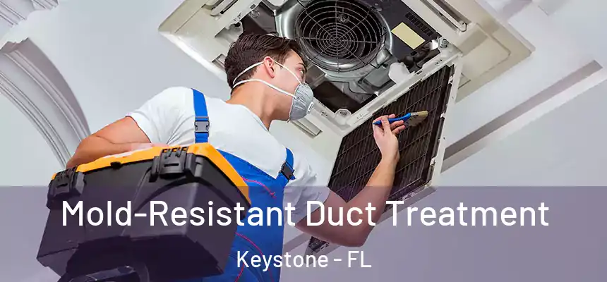 Mold-Resistant Duct Treatment Keystone - FL