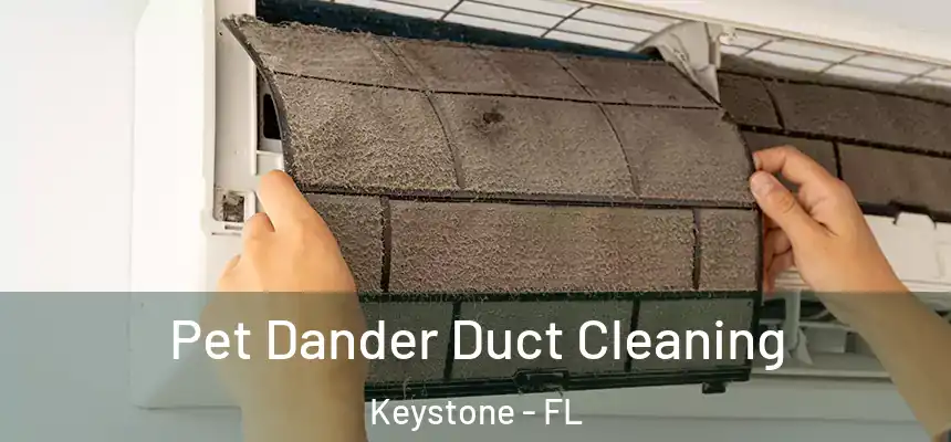 Pet Dander Duct Cleaning Keystone - FL