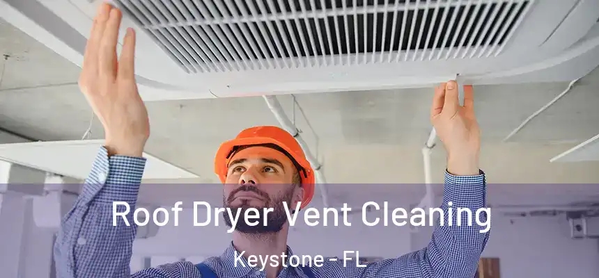 Roof Dryer Vent Cleaning Keystone - FL