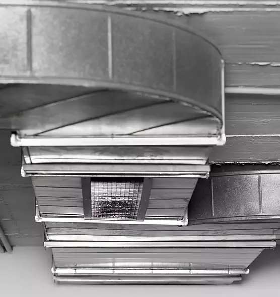 Professional Air Duct Pest Removal in Keystone, FL