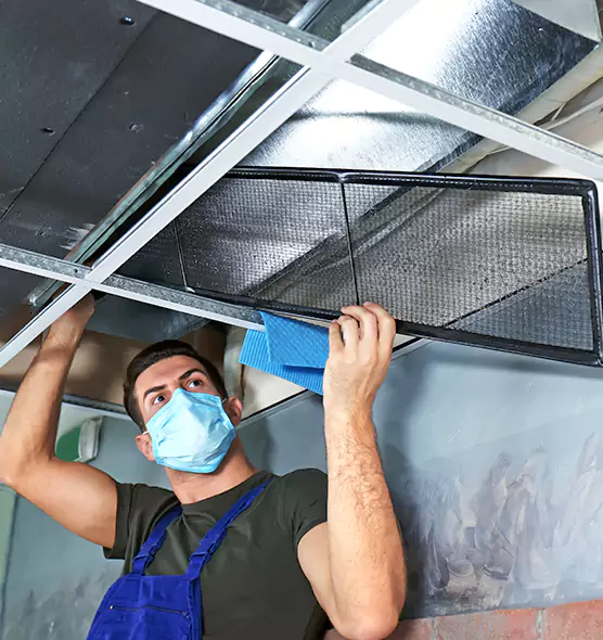 Professional Air Duct Pollen Cleaning in Keystone, FL