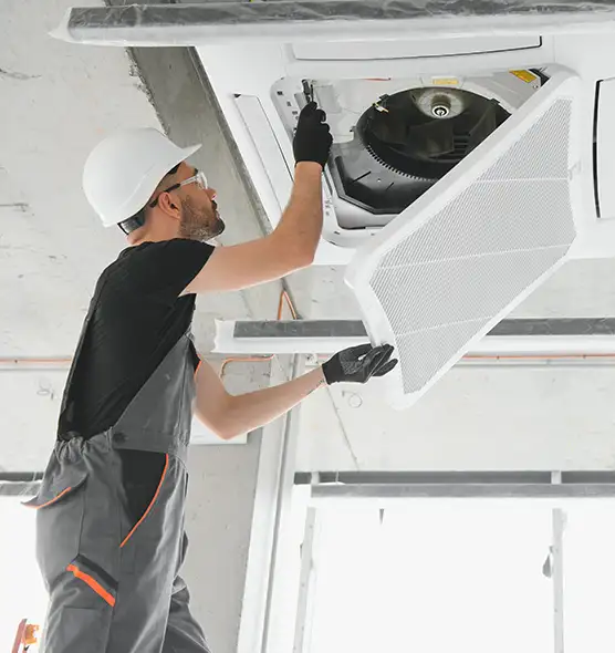 About Air Duct Rodent Removal in Keystone, FL