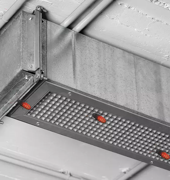 Affordable Insect Removal from Air Ducts in Keystone, FL