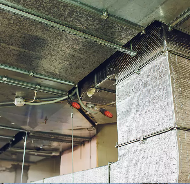 Why Homeowners & Businesses Trust Us in Keystone, FL?