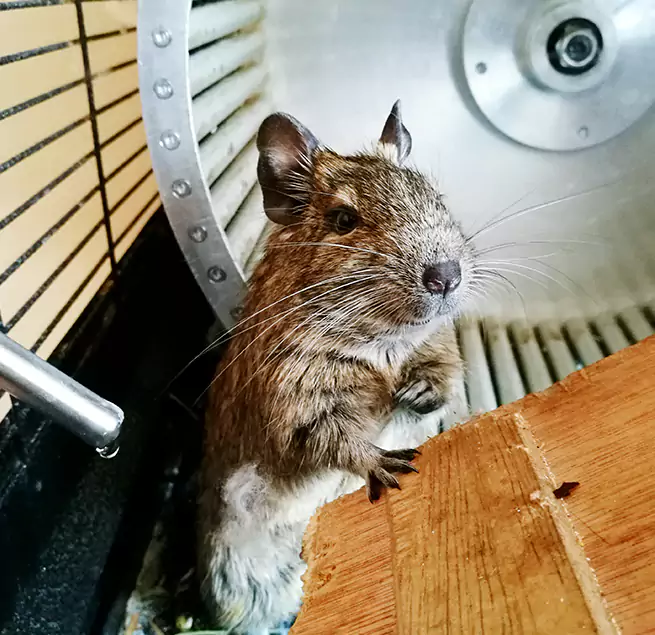 Why Homeowners & Businesses Trust Us Keystone, FL