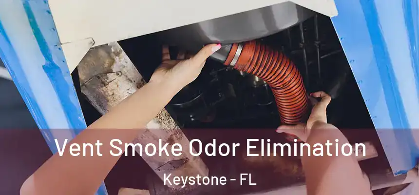 Vent Smoke Odor Elimination Keystone - FL