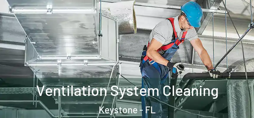 Ventilation System Cleaning Keystone - FL