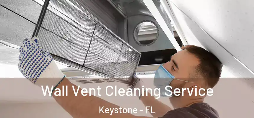 Wall Vent Cleaning Service Keystone - FL