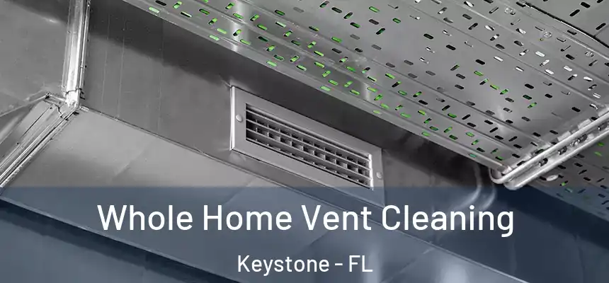 Whole Home Vent Cleaning Keystone - FL